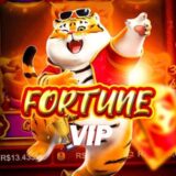 Robô do fortune tiger – jogo do tigrinho