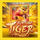 Fortune Tiger oficial®