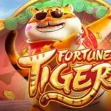 Tiger Fortune Bet7k®